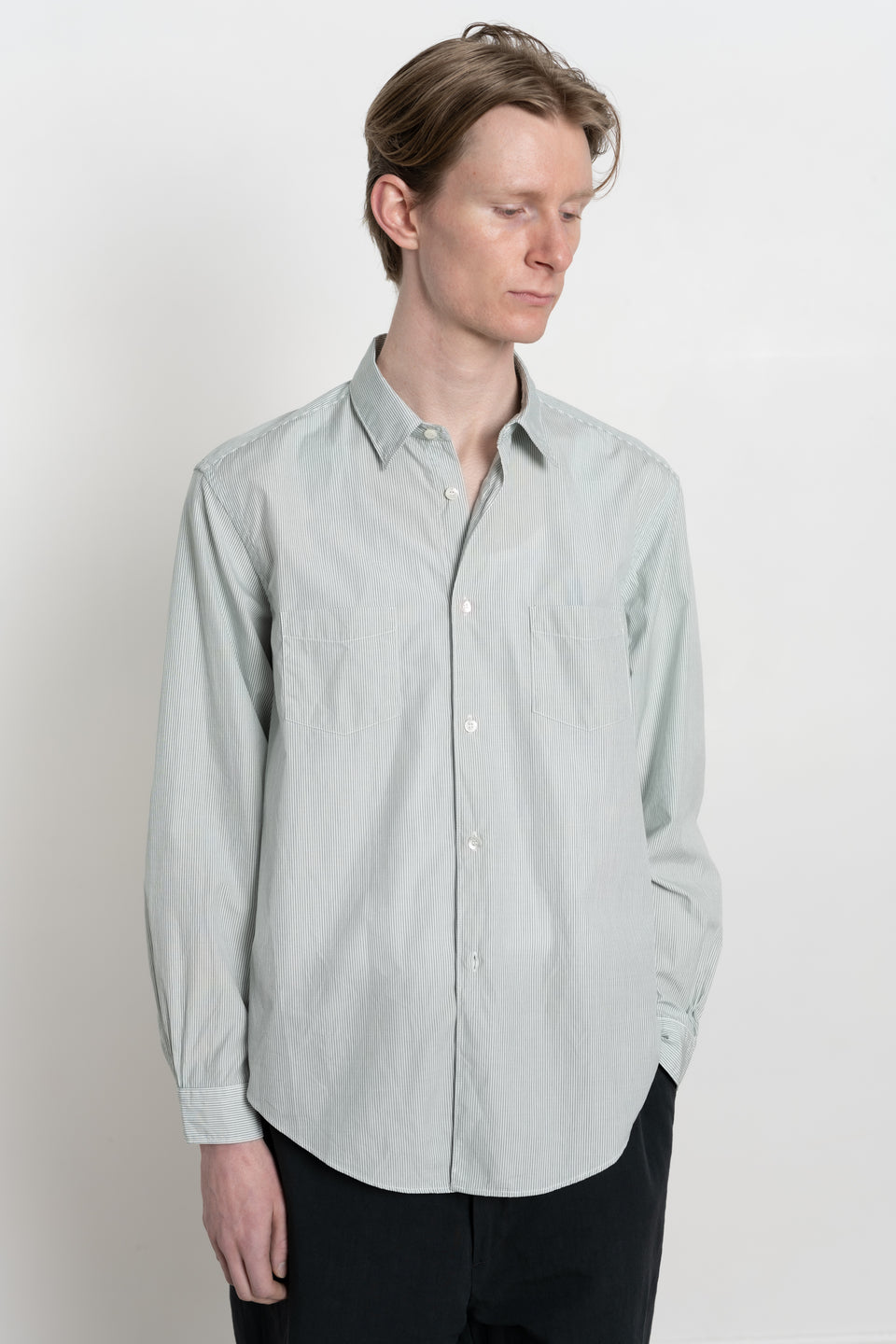 ENDS and MEANS spring summer 2024 SS24 24SS Men's Collection from Japan Aldous shirt green stripe
